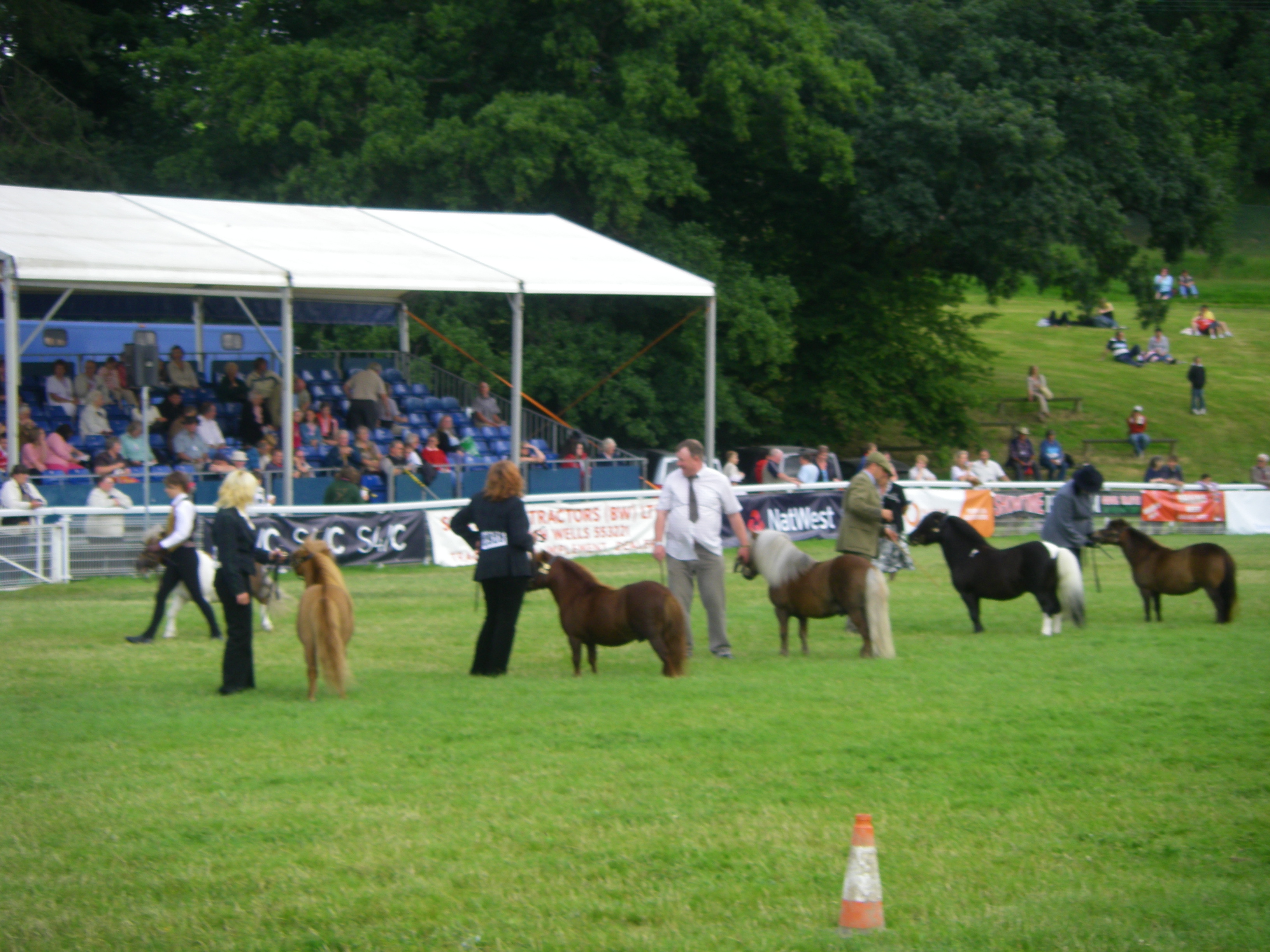 Royal Welsh show